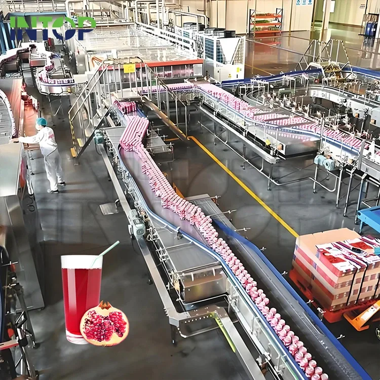 Granatų sulčių gamybos linija